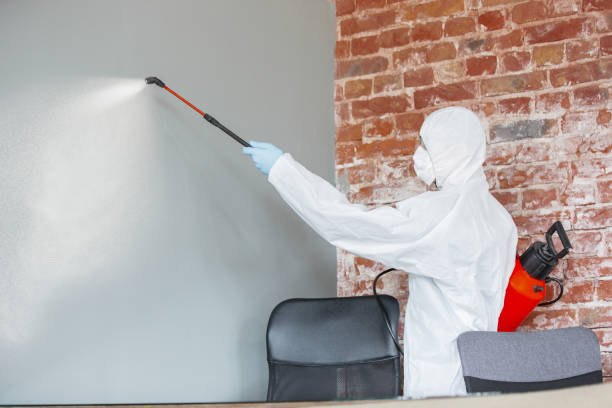 Forensic Mold Investigation in Montgomery, OH