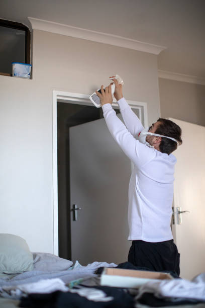 Best Mold Damage Restoration  in Montgomery, OH