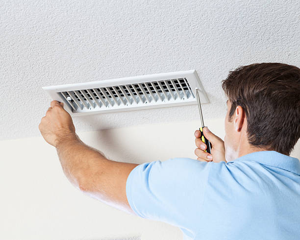 Best Emergency Mold Remediation  in Montgomery, OH